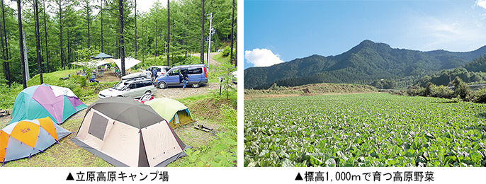 左：立原高原キャンプ場　右：標高1,000mで育つ高原野菜