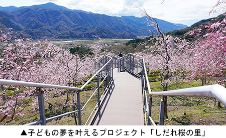 子どもの夢を叶えるプロジェクト「しだれ桜の里」