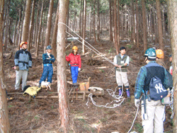 やまづくり塾での間伐の様子の写真