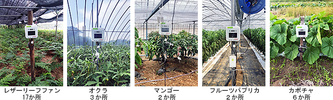 環境情報モニタリングセンサー