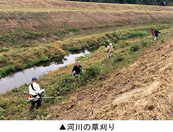 河川の草刈り