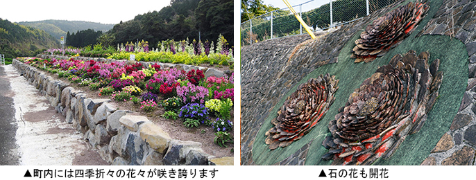 左：町内には四季折々の花々が咲き誇ります　右： 石の花も開花