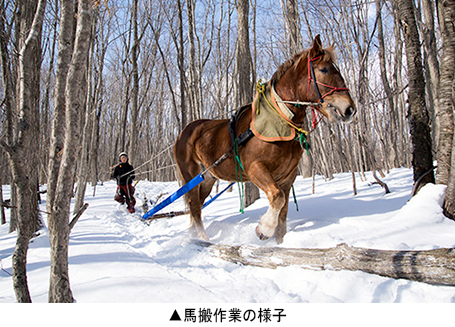 馬搬作業の様子