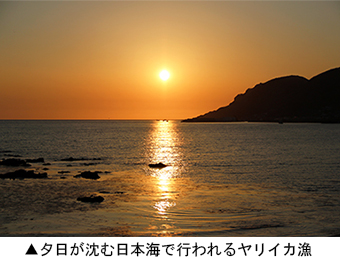 夕日が沈む日本海で行われるヤリイカ漁