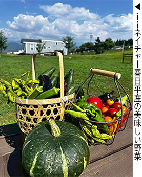 ｉｉネイチャー春日平産の美味しい野菜