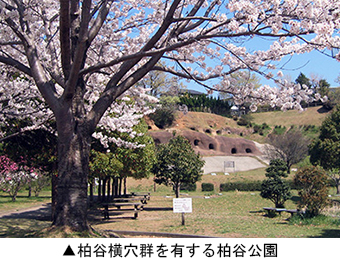 柏谷横穴群を有する柏谷公園
