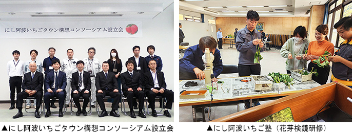 左:にし阿波いちごタウン構想コンソーシアム設立会 右:にし阿波いちご塾(花芽検鏡研修)