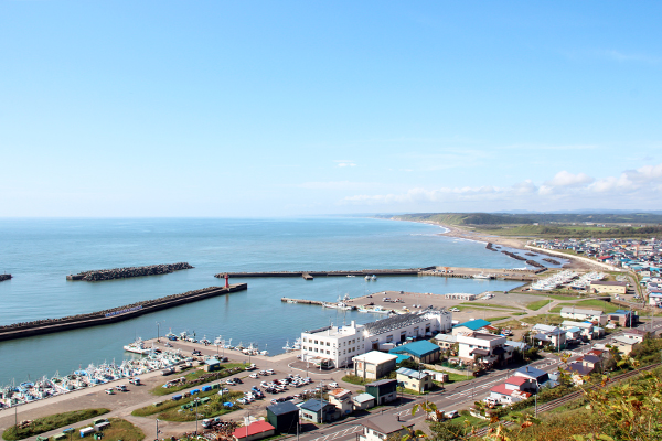 岬の森東山公園から望む、白糠の街並みと太平洋