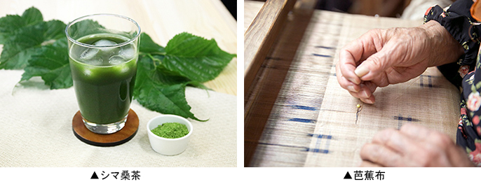左：シマ桑茶　　右：芭蕉布