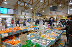 道の駅　農産物直売所店舗