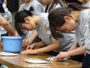 魚さばきを体験する子供たちの様子の写真