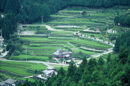 加美区岩座神の棚田の風景写真