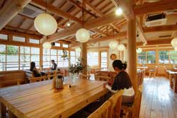 農村レストラン夢市茶屋の写真