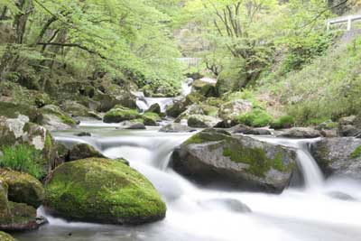 鮫川村の景勝地「強滝（こわだき）」の写真