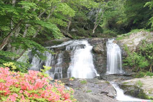 村の景勝地「江竜田の滝」の風景写真