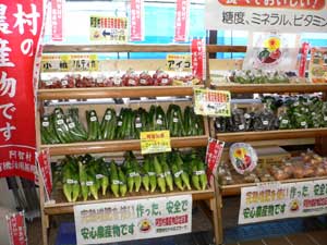 「あち有機いきいき」で育てた新鮮野菜