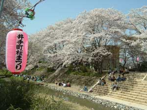 桜まつりの様子