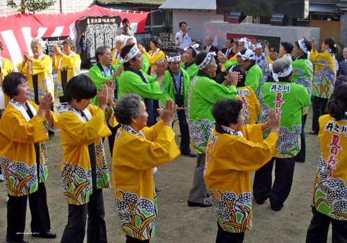 井之川夏目祭りの写真