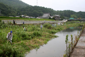 河川清掃