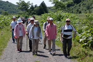 フットパス「西沢」コース