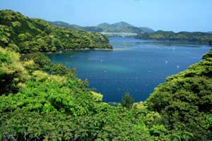 波穏やかな若松瀬戸の風景