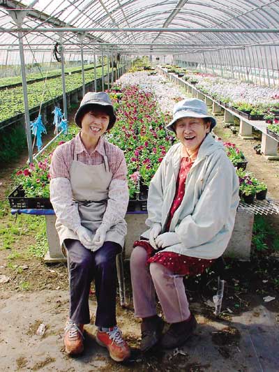 宮崎県西米良村の写真