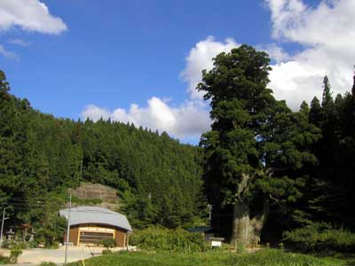 長野県根羽村の写真