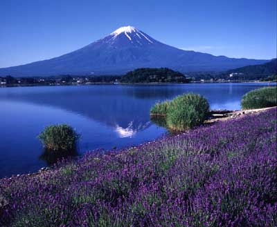 山梨県富士河口湖町の写真