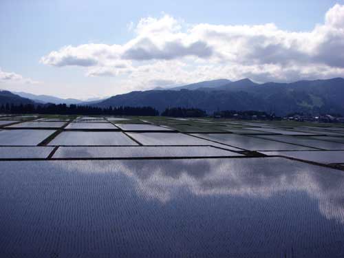 風景写真