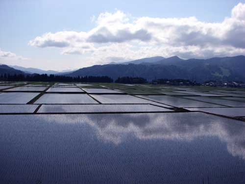 風景写真