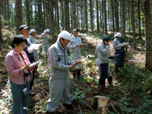 二酸化炭素吸収量のモニタリング検討会の様子の写真