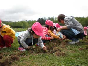 ヤナギの苗木を植える子どもたちの様子の写真