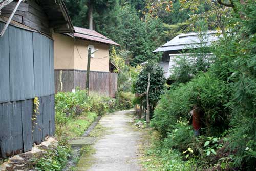 昔ながらの地割りが残っている板井原集落の写真