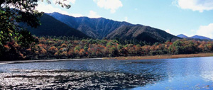 観音沼森林公園の風景写真