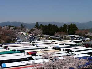 午前中で早くも満車となった駐車場の様子の写真