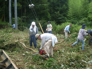 ボランティアによる伐開作業の写真