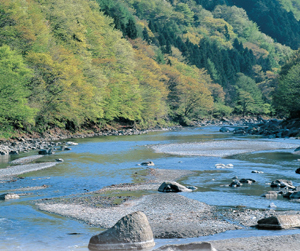 神流川の写真