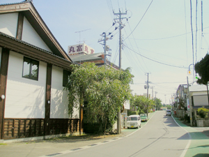 しょっぱい温泉　森岳温泉郷の写真