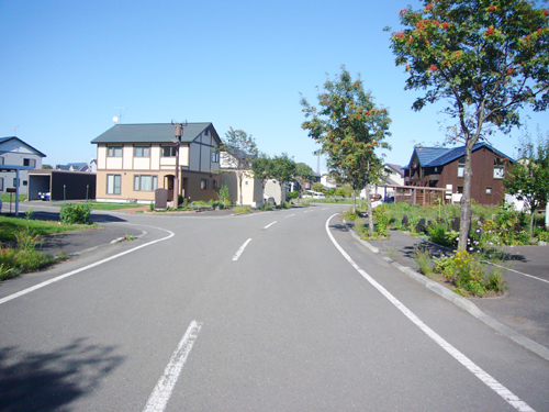 北海道安平町の写真