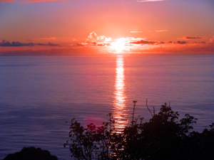 母島　新夕日ヶ丘の写真