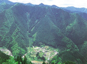 森林文化休養地域の写真