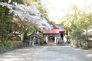 紫尾神社の写真