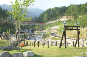 山野草公園の写真