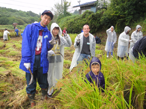 「ホームステイウィークエンドIN那珂川」での稲の収穫の写真
