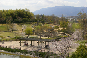 竹取公園の写真