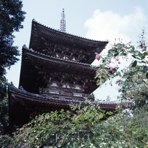 百済寺三重塔の写真