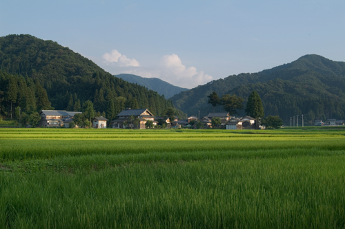 福井県池田町の写真