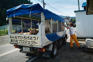 食Uターンの生ゴミ回収の写真