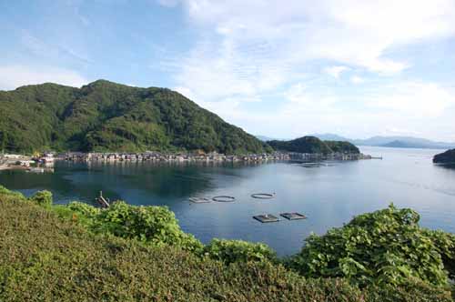 伊根湾遠景の写真