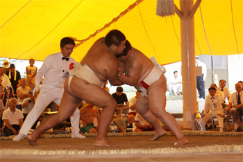 全国選抜社会人相撲大会の写真